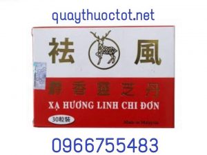 xạ hương linh chi đơn